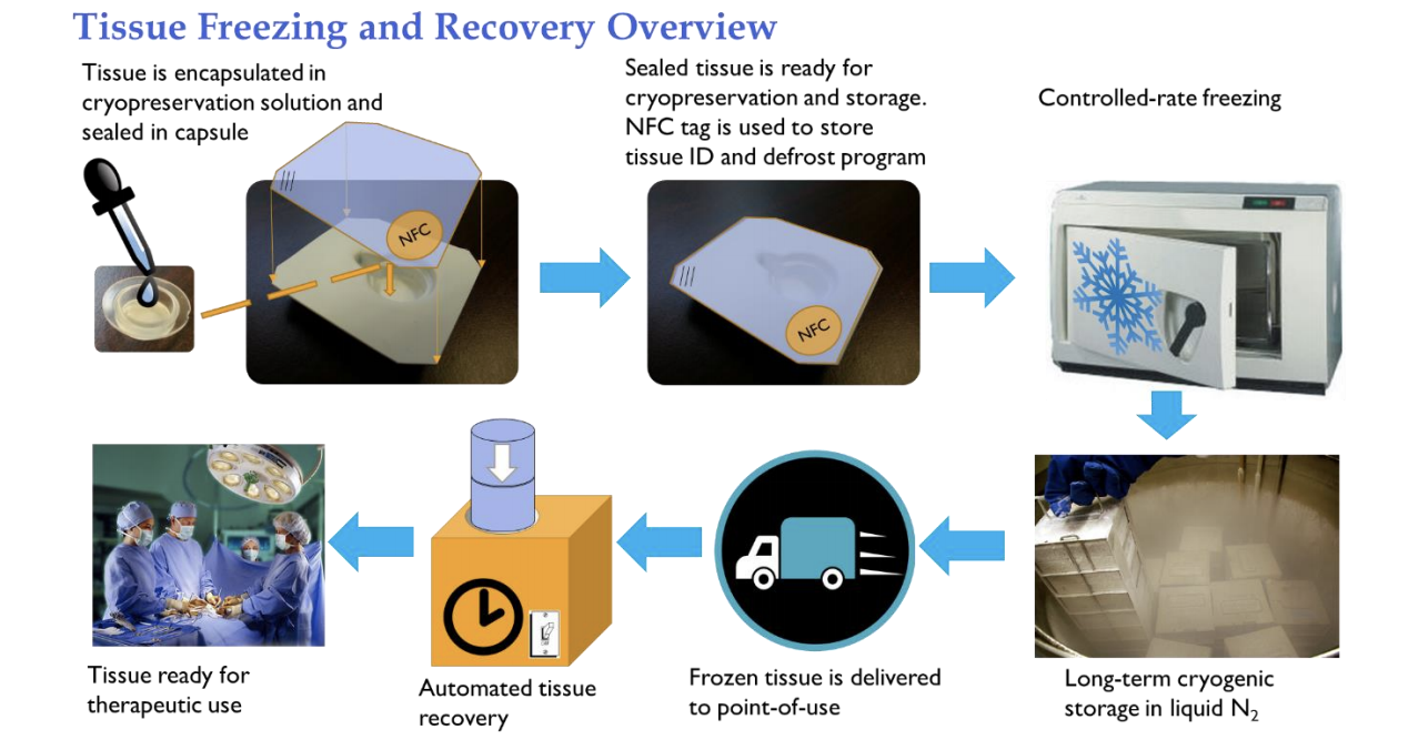 Device for Tissue Cryopreservation and Recovery National Eye Institute